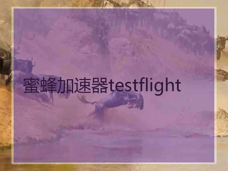 蜜蜂加速器testflight