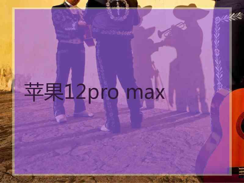 苹果12pro max