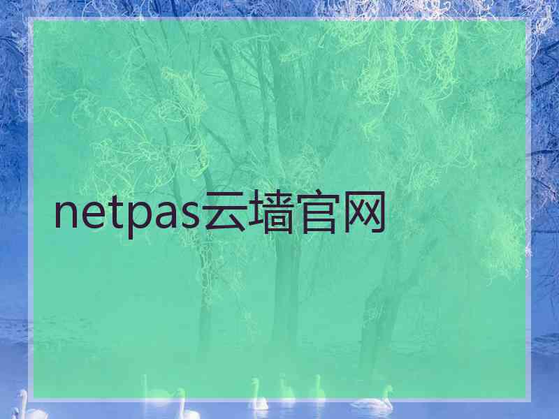 netpas云墙官网