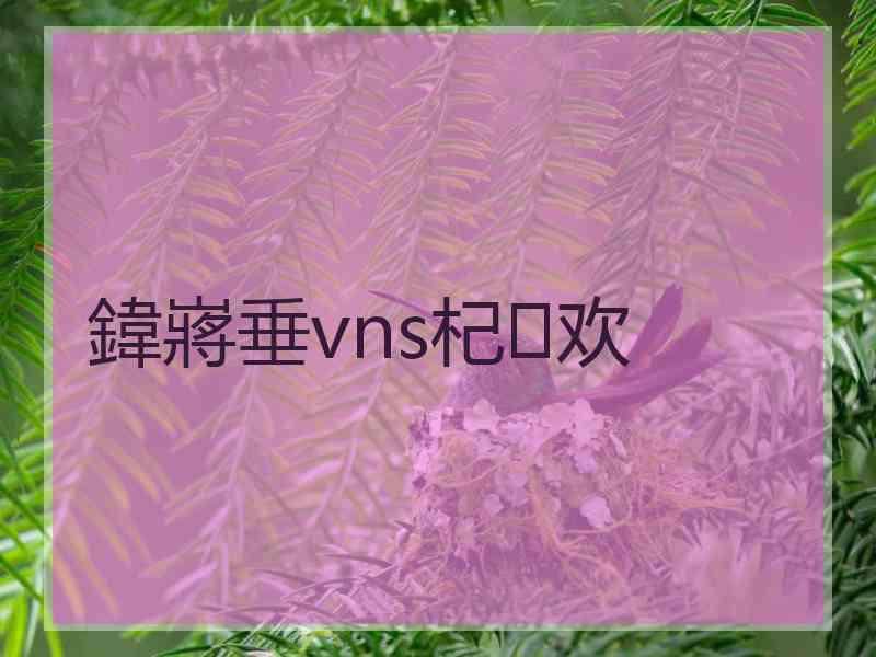 鍏嶈垂vns杞欢