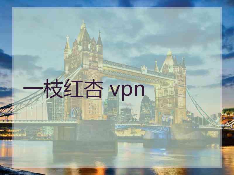 一枝红杏 vpn