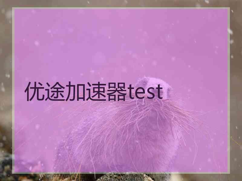 优途加速器test