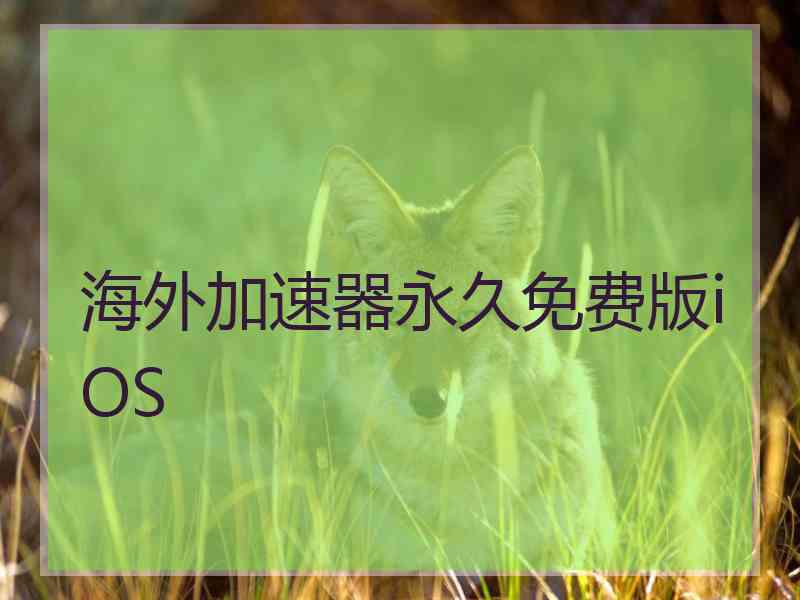 海外加速器永久免费版iOS