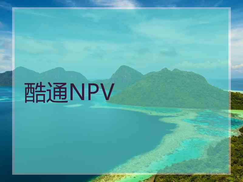 酷通NPV