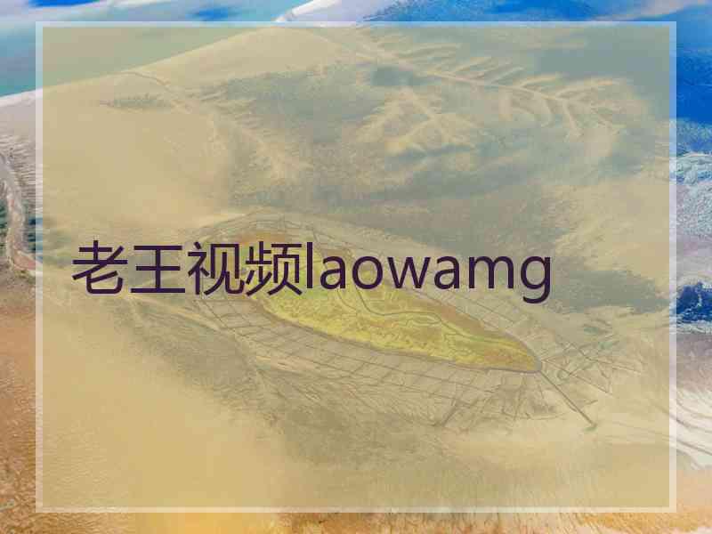 老王视频laowamg