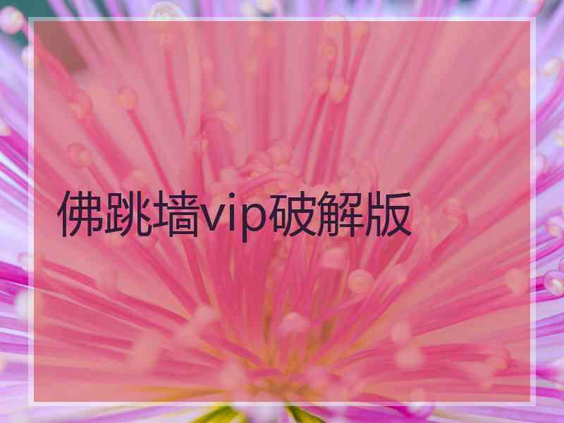 佛跳墙vip破解版