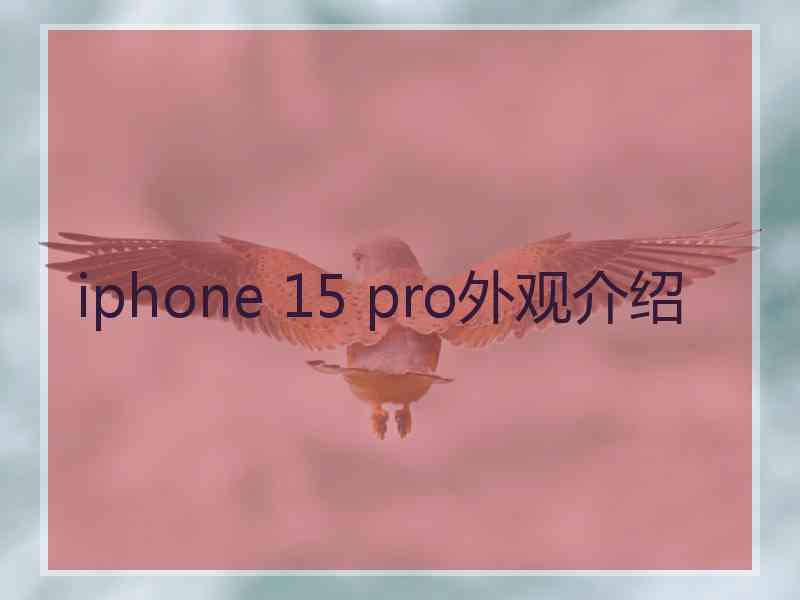 iphone 15 pro外观介绍