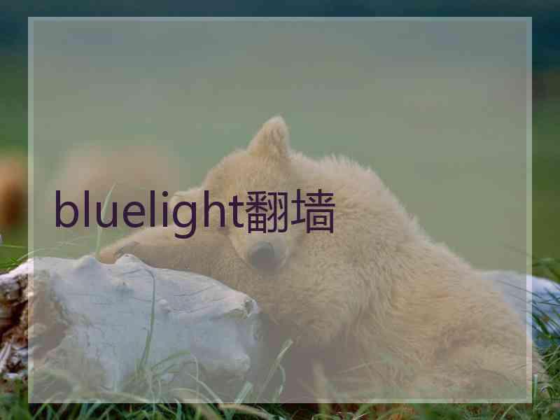 bluelight翻墙