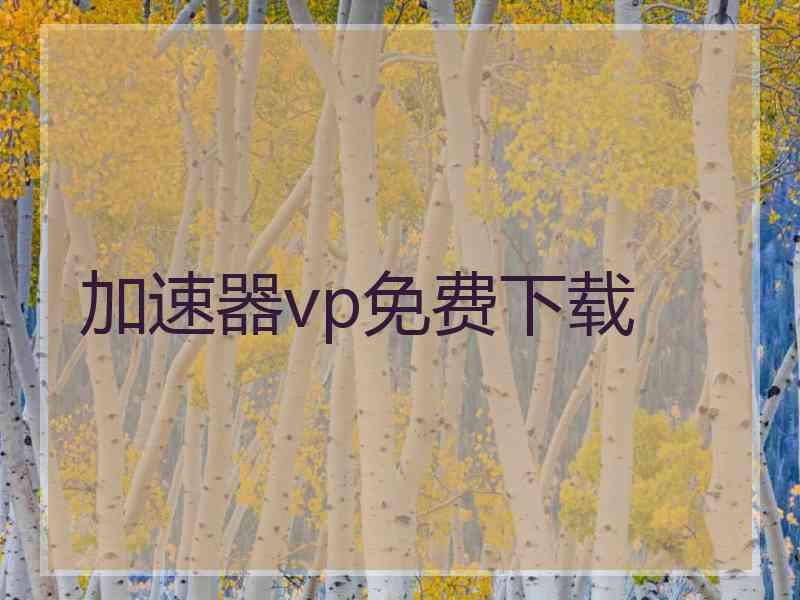 加速器vp免费下载