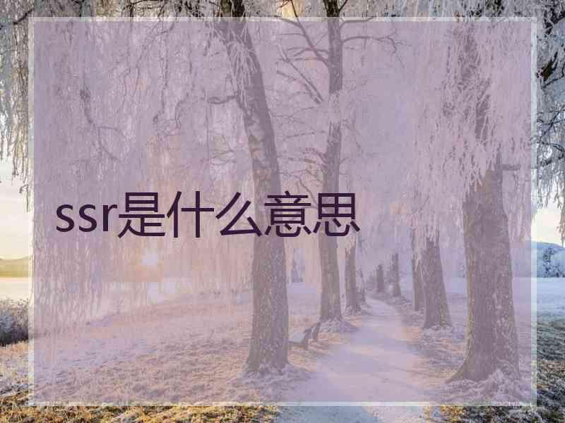 ssr是什么意思