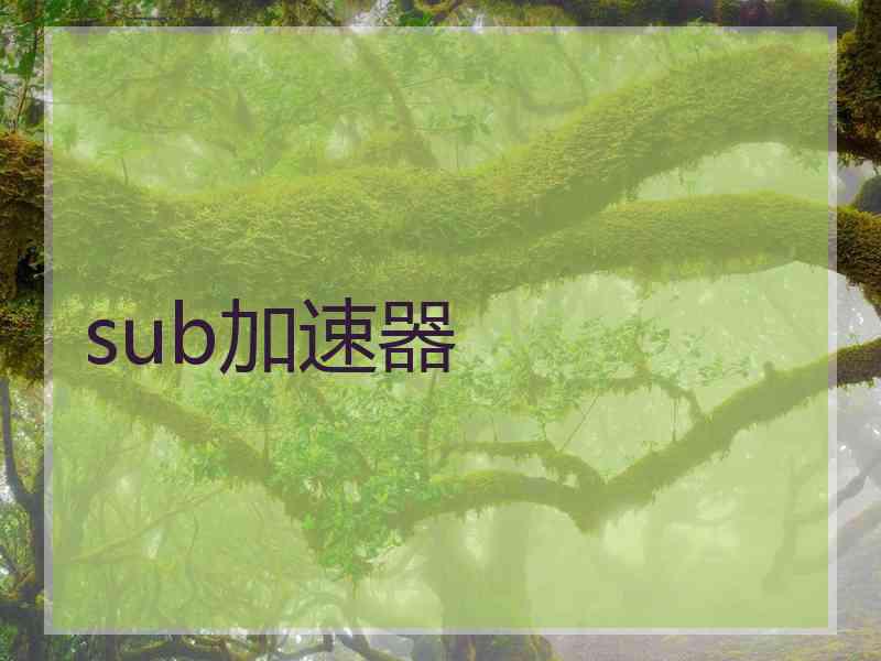 sub加速器