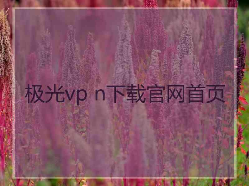 极光vp n下载官网首页