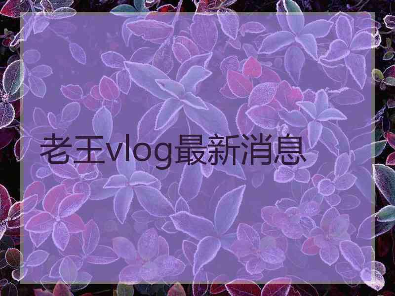 老王vlog最新消息