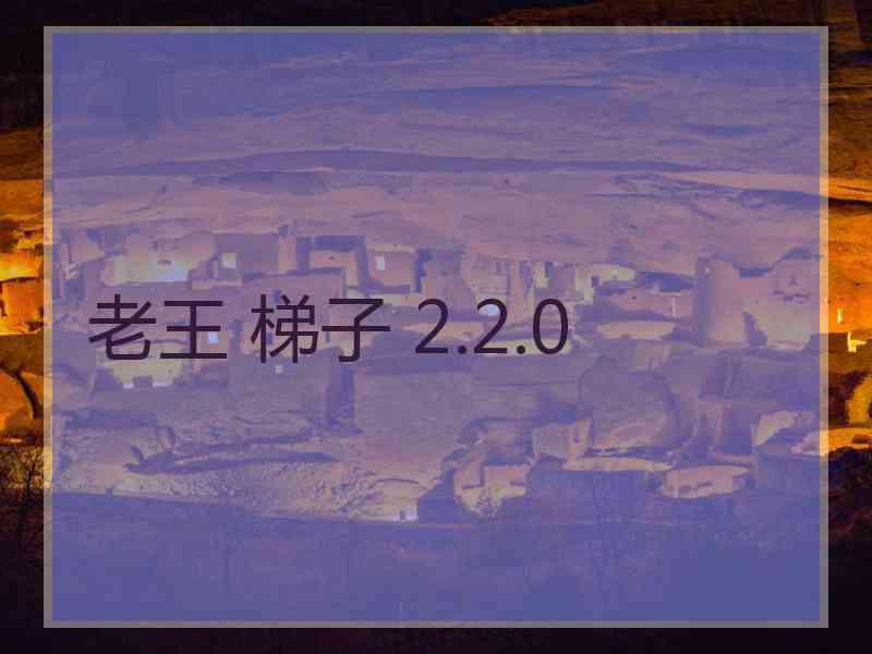 老王 梯子 2.2.0