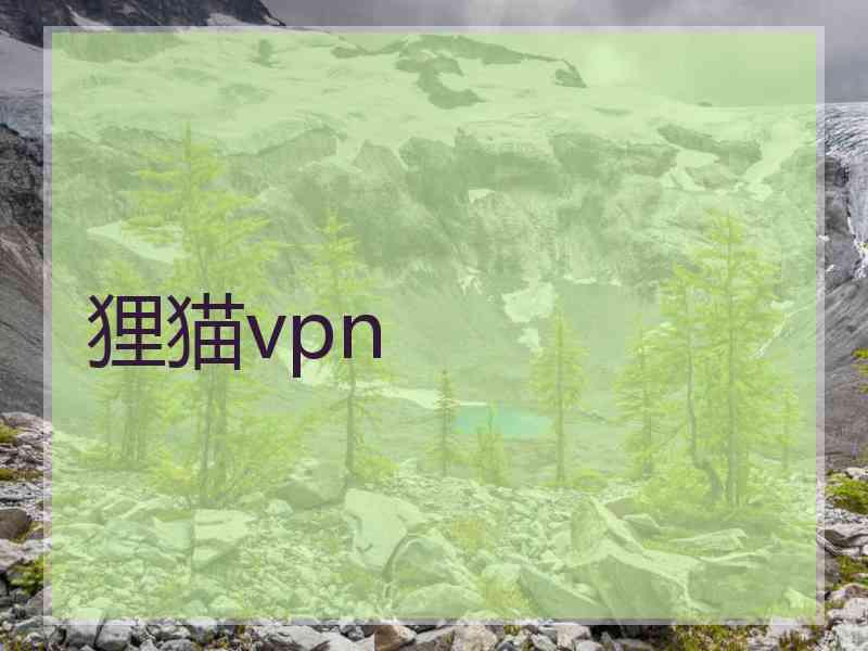 狸猫vpn