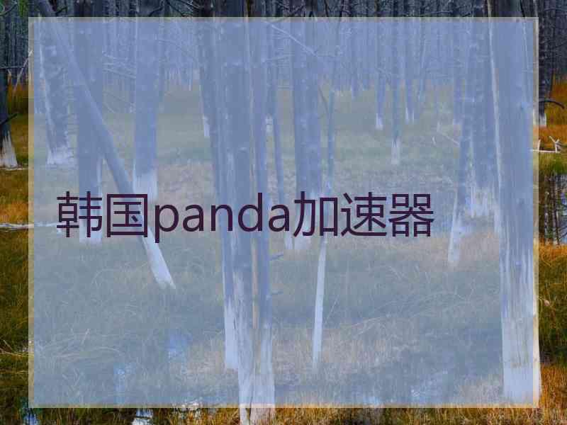 韩国panda加速器