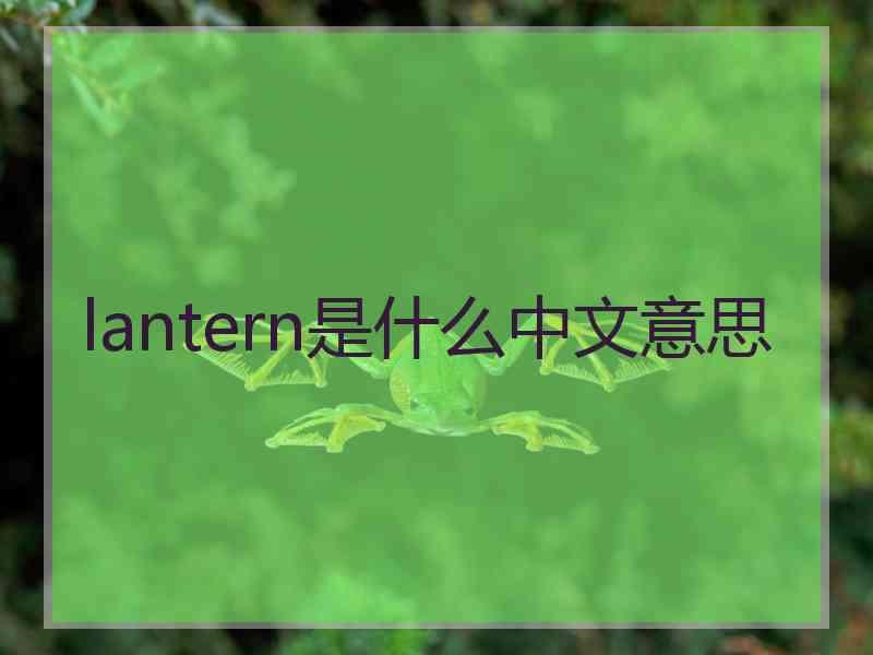 lantern是什么中文意思