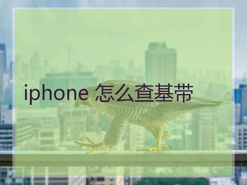 iphone 怎么查基带