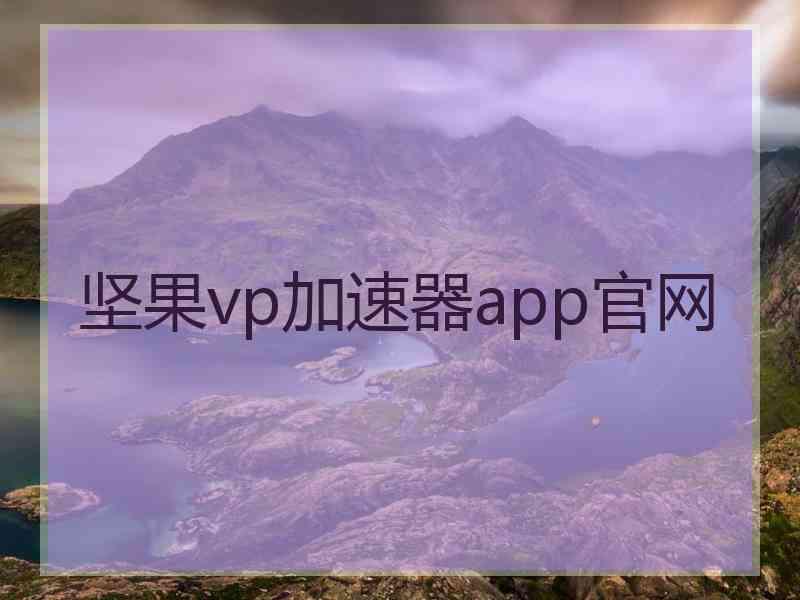 坚果vp加速器app官网