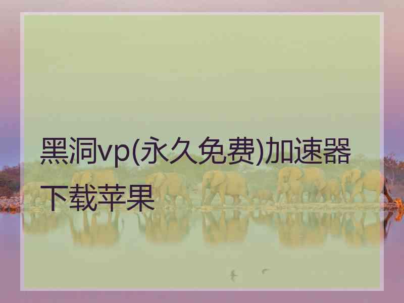 黑洞vp(永久免费)加速器下载苹果