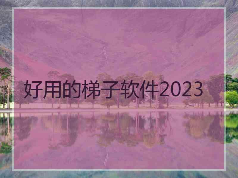 好用的梯子软件2023