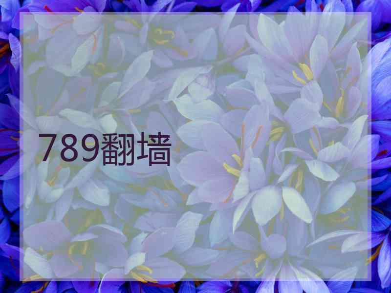 789翻墙