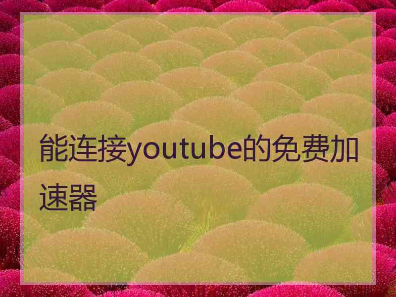 能连接youtube的免费加速器