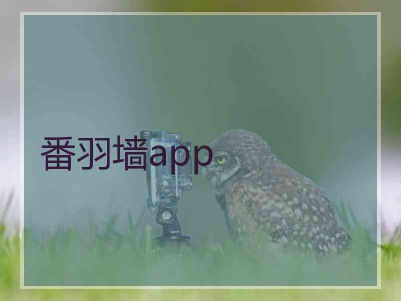 番羽墙app