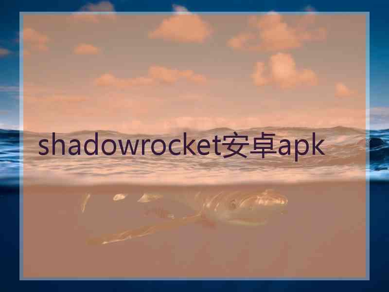 shadowrocket安卓apk