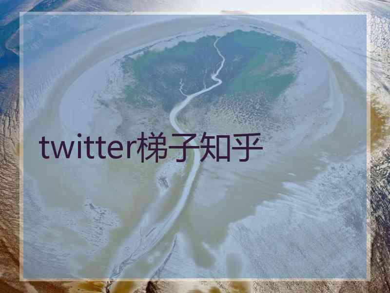 twitter梯子知乎