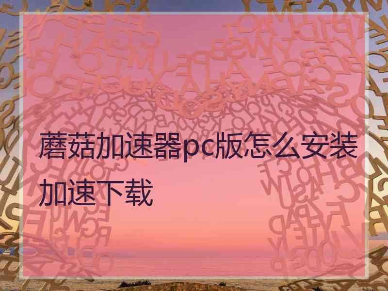 蘑菇加速器pc版怎么安装加速下载