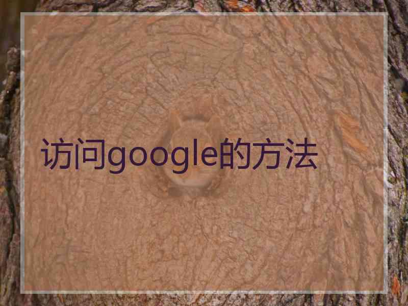 访问google的方法