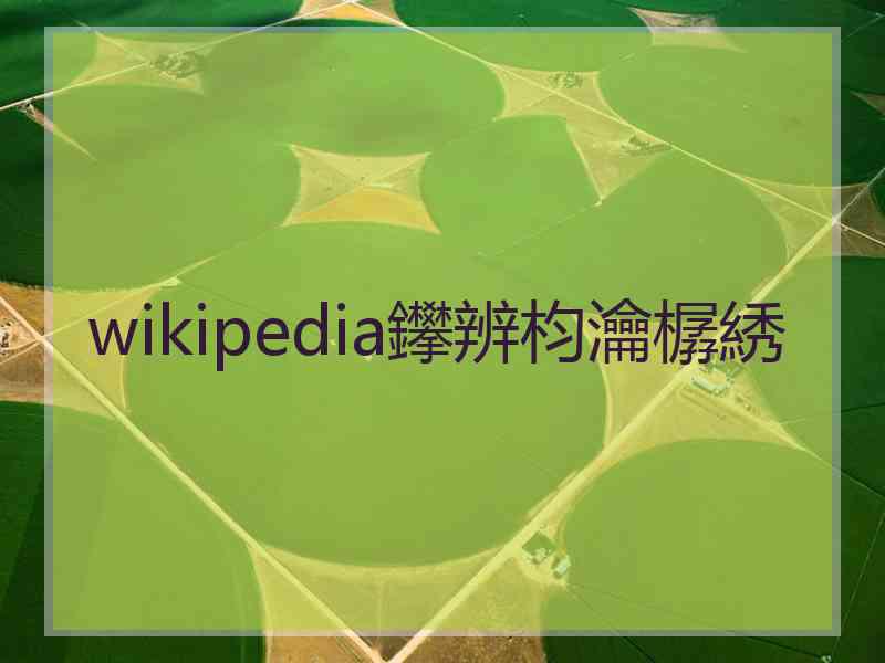 wikipedia鑻辨枃瀹樼綉