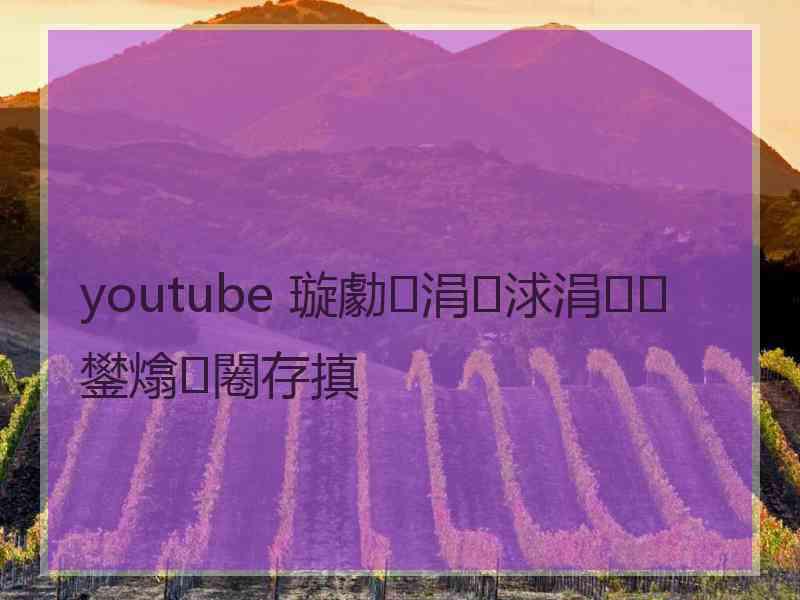 youtube 璇勮涓浗涓鐢熻闂存搷