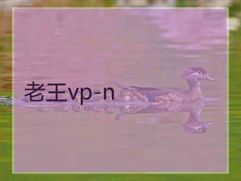 老王vp-n