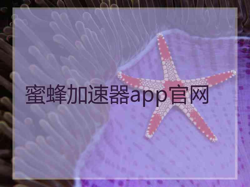 蜜蜂加速器app官网