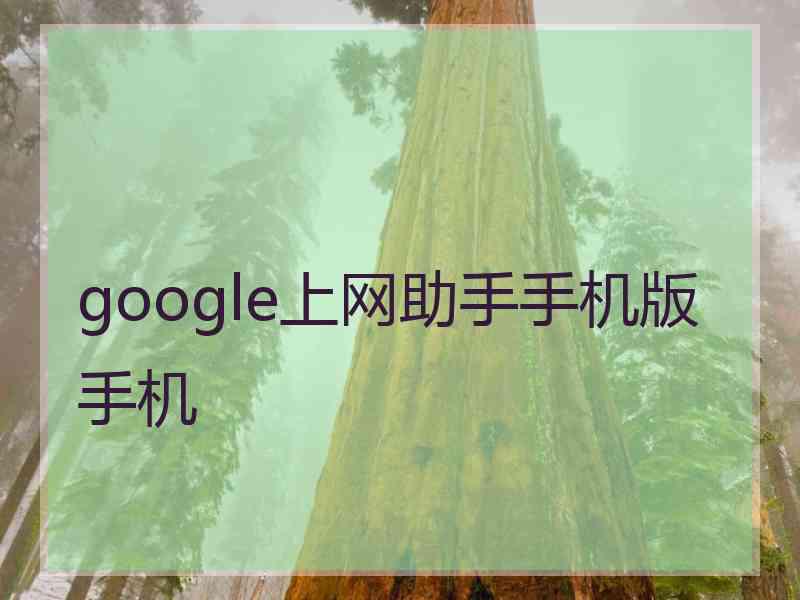 google上网助手手机版手机