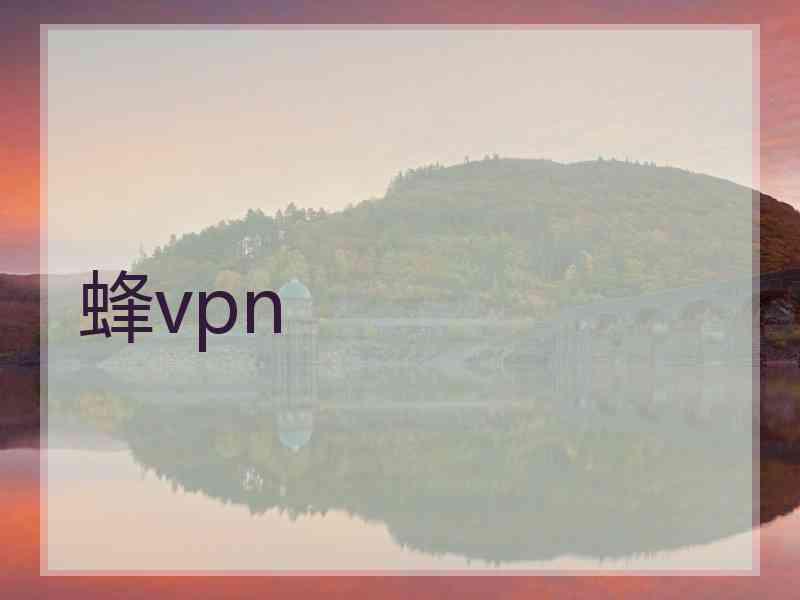 蜂vpn