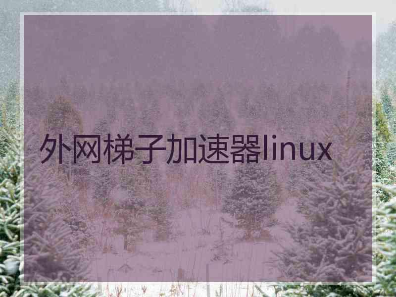 外网梯子加速器linux