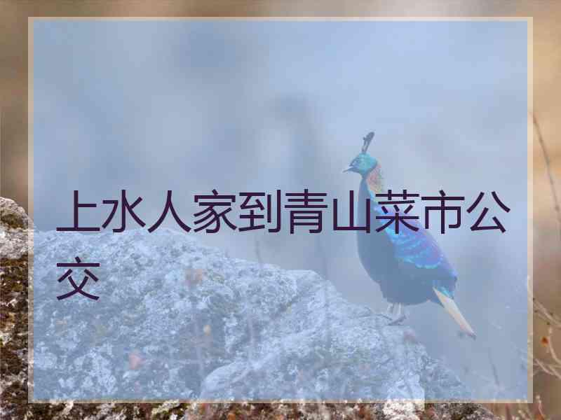 上水人家到青山菜市公交