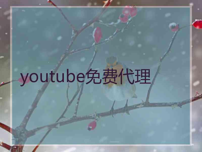 youtube免费代理