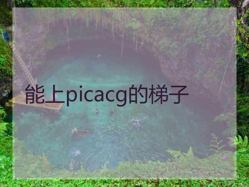 能上picacg的梯子