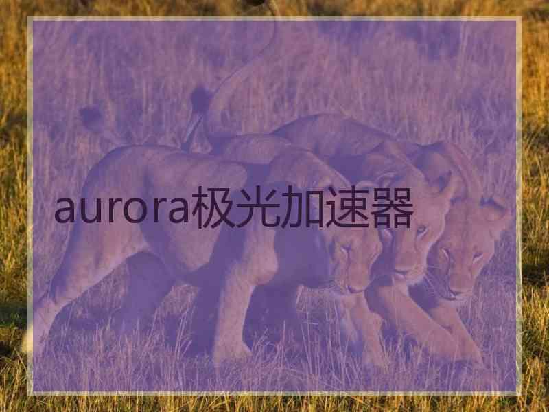 aurora极光加速器