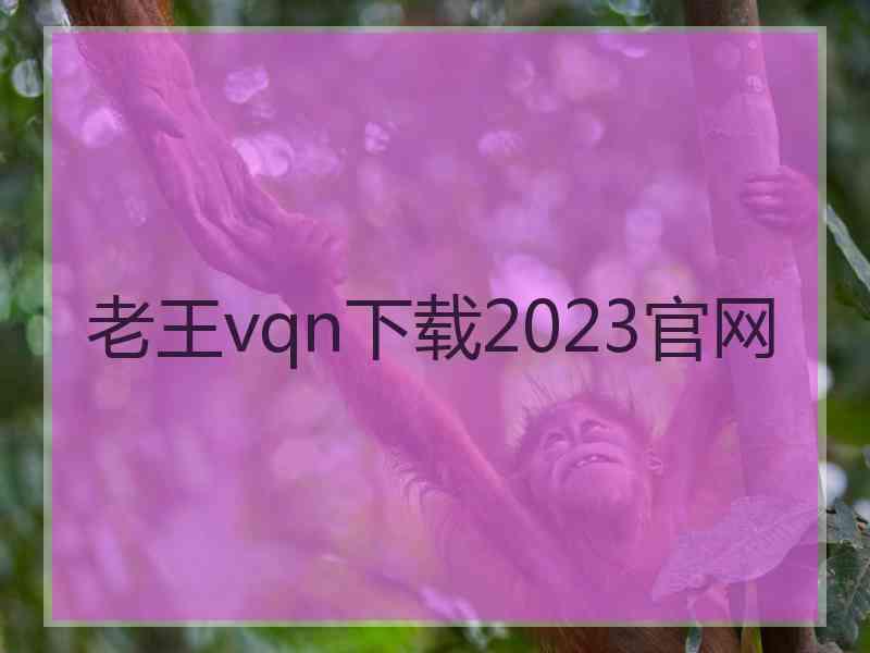 老王vqn下载2023官网