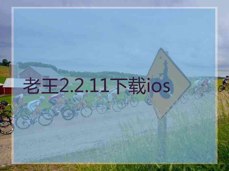 老王2.2.11下载ios