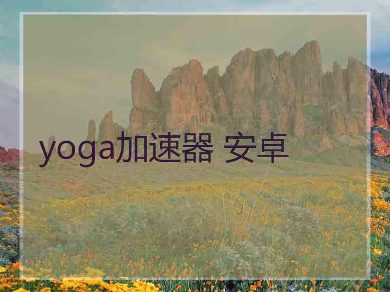 yoga加速器 安卓