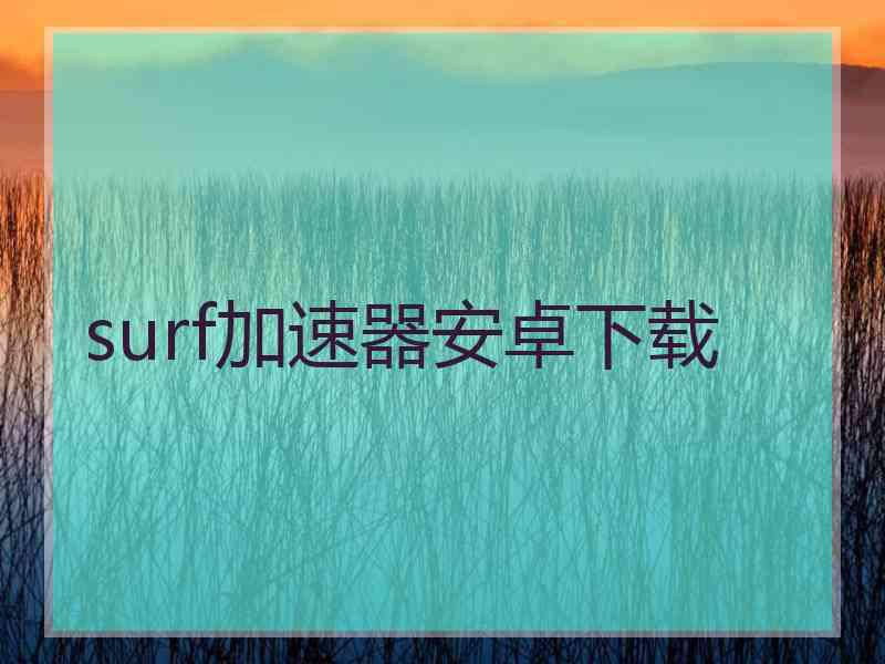 surf加速器安卓下载