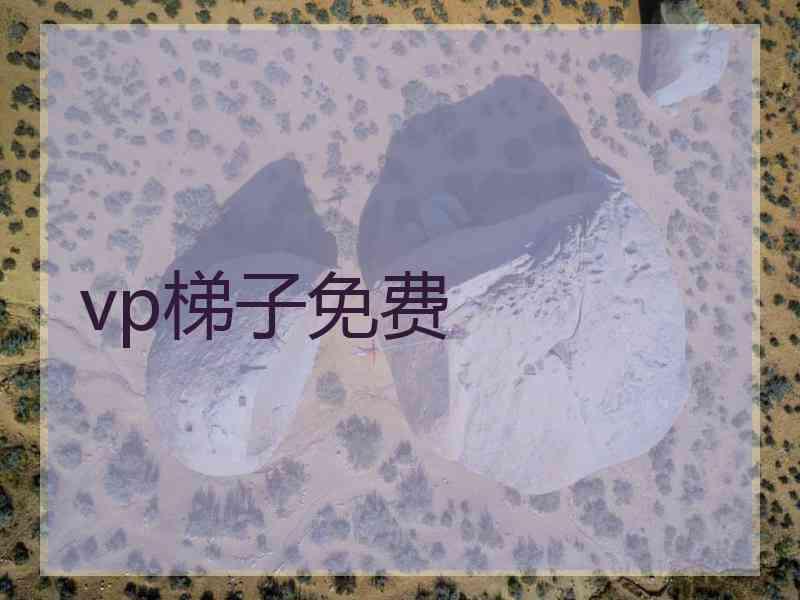 vp梯子免费