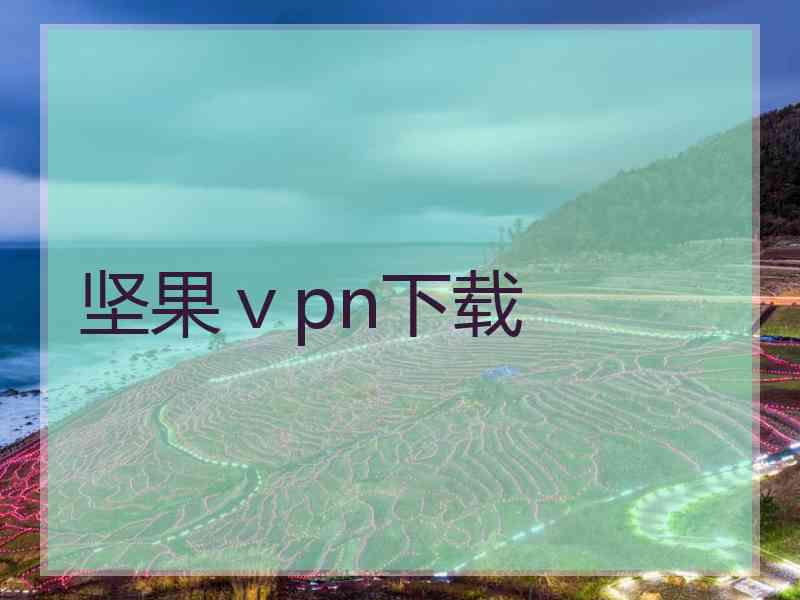 坚果ⅴpn下载