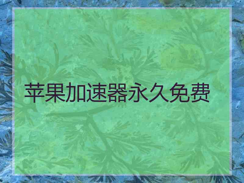 苹果加速器永久免费